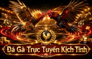 Sảnh đá gà davidjustice23